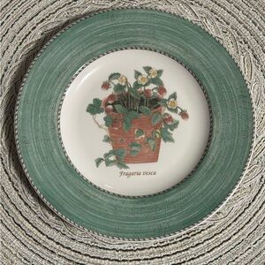 Vintage Wedgwood Green and White Botanical Plate Sarah’s Garden Plate 8.25”